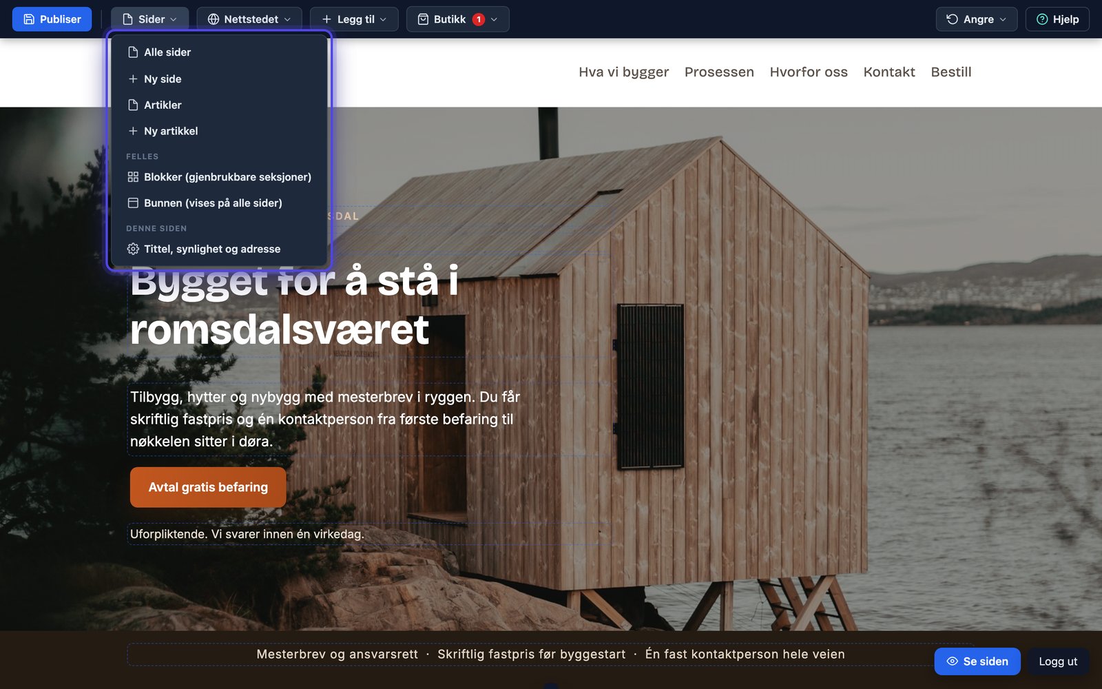 Sider-menyen i topplinja med Alle sider, Ny side, Artikler, Blokker, Bunnen og Tittel, synlighet og adresse